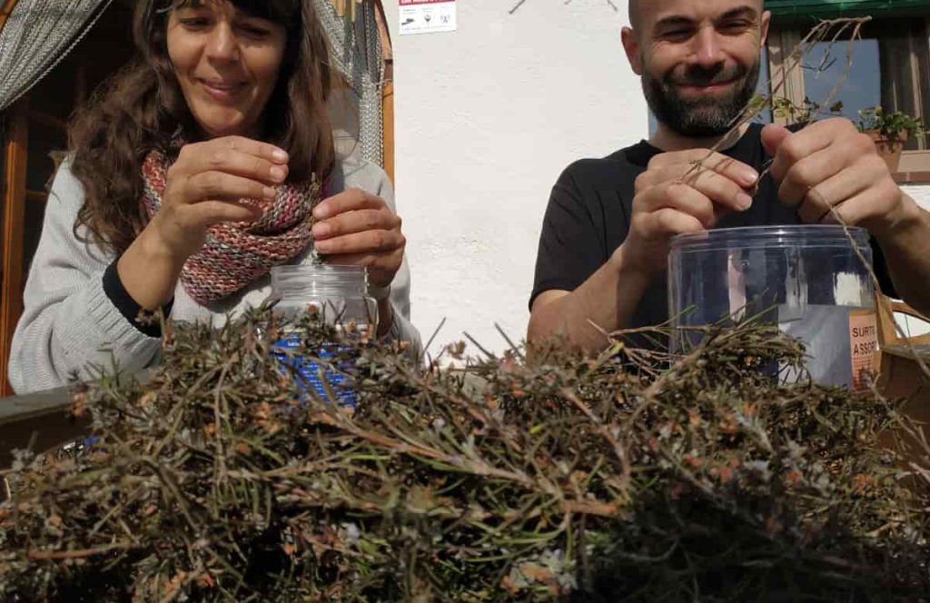 community garden in rural coliving