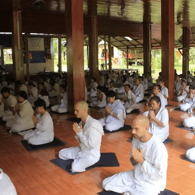 Meditación Vipassana en el valle del Montseny, España