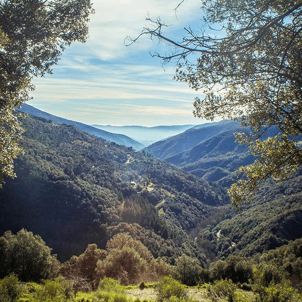 Vista del valle del Montseny desde el coliving rural de Kalart en España